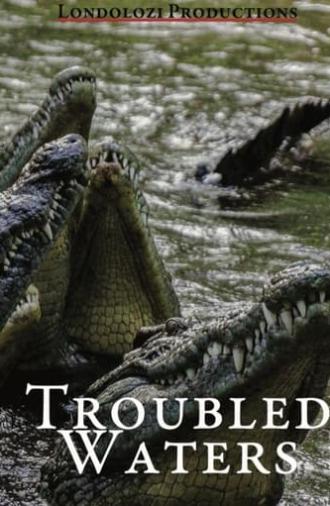 Troubled Waters (1993)