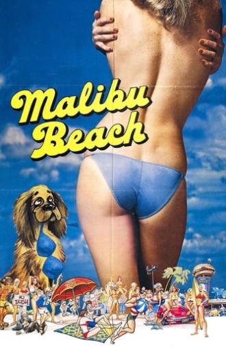 Malibu Beach (1978)