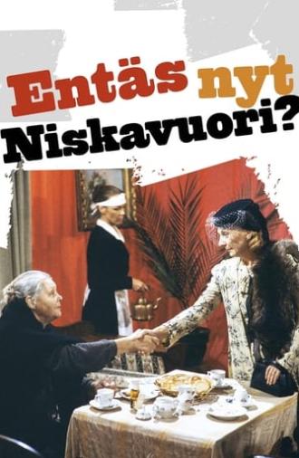 Entäs nyt, Niskavuori? (1987)