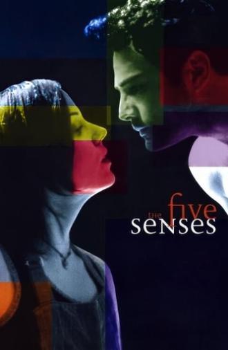 The Five Senses (1999)