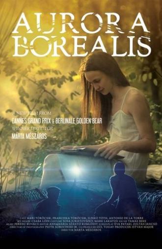 Aurora Borealis: Northern Light (2017)