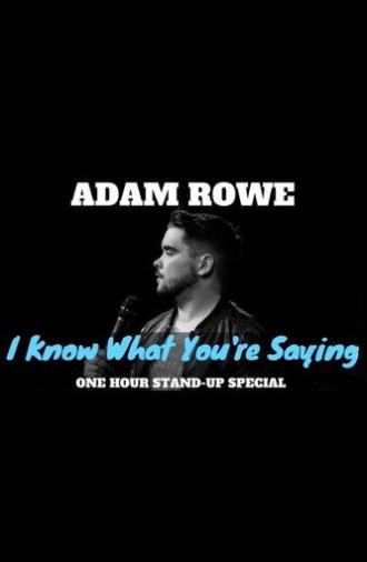 Adam Rowe: I Know What You're Saying (2017)