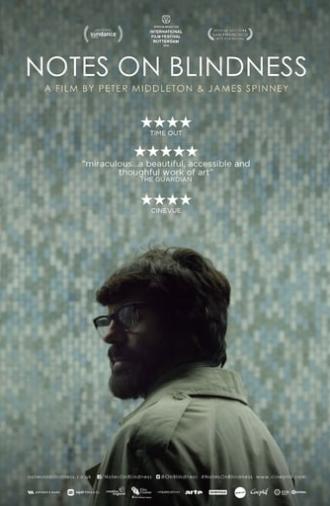 Notes on Blindness (2016)