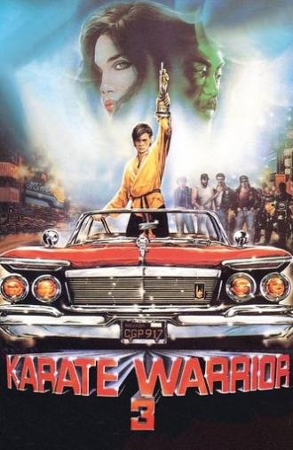 Karate Warrior 3 (1991)