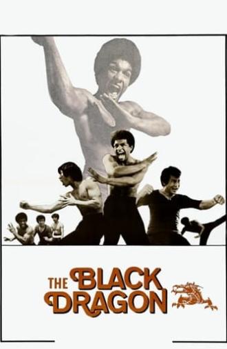 The Black Dragon (1974)