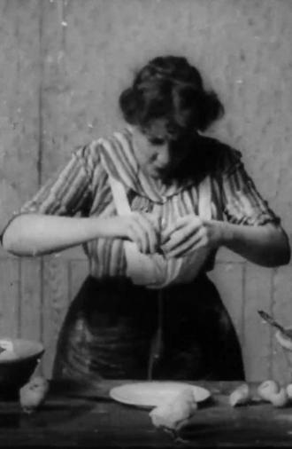 Strictly Fresh Eggs (1903)