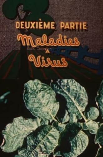 The Enemies of the Potato: Virus Diseases (1949)