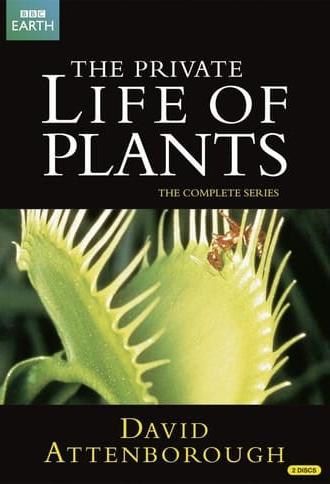 The Private Life of Plants (1995)