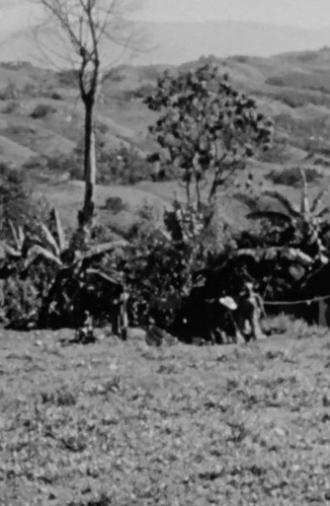 Haiti (1957)