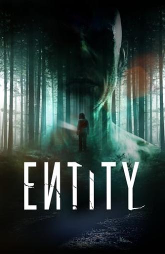 Entity (2012)