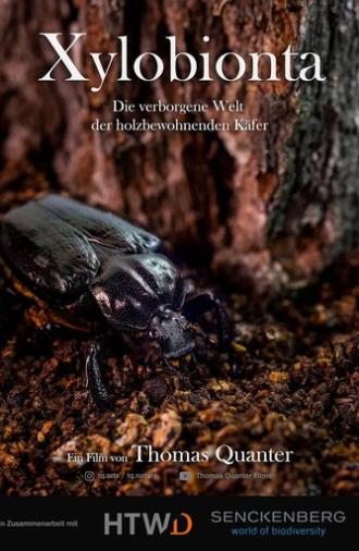 Xylobionta - die verborgene Welt der holzbewohnenden Käfer (2024)