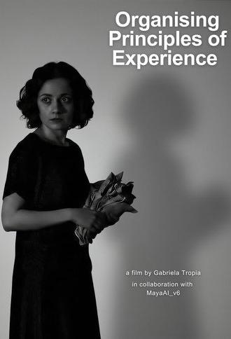 Organising Principles of Experience (2025)