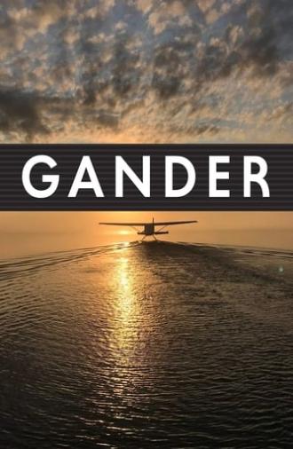 Gander International: The Airport in the Middle of Nowhere (2019)