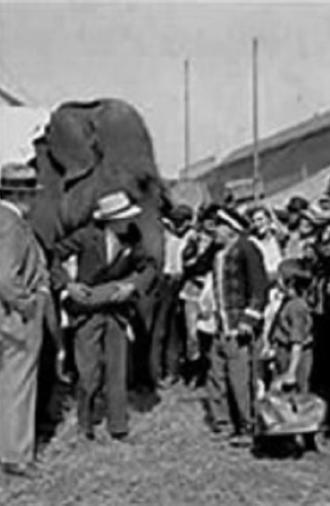 The Great Love (1926)