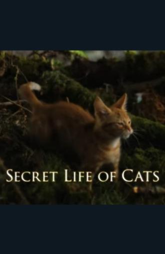 The Secret Life of Cats (2014)