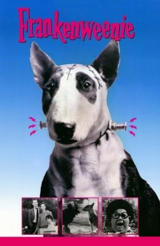 Frankenweenie (1984)