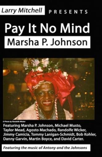 Pay It No Mind: Marsha P. Johnson (2012)