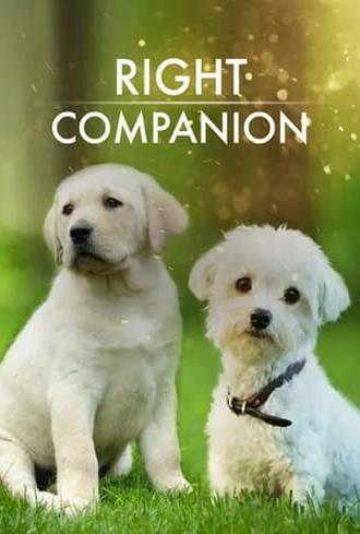 The Right Companion (2009)