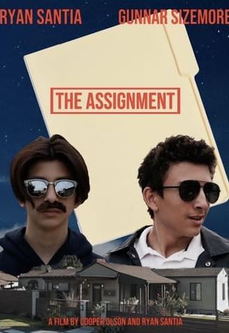 The Assignment (2020)