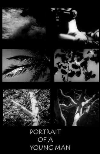 Portrait of a Young Man in Three Movements (1931)