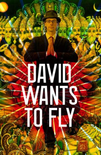 David Wants to Fly (2010)