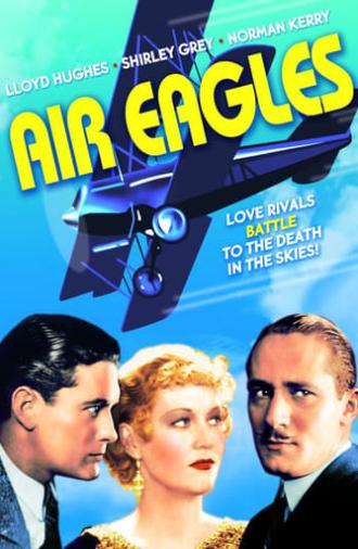 Air Eagles (1931)