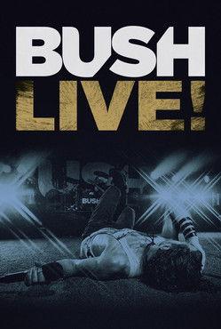 Bush: Live From Roseland (2013)