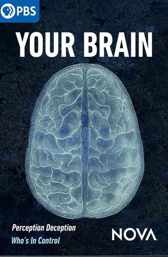 Your Brain (2023)