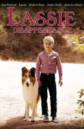 Lassie: Disappearance (1964)