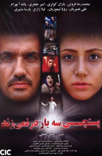 The Postman Doesn't Knock Three Times (2009)