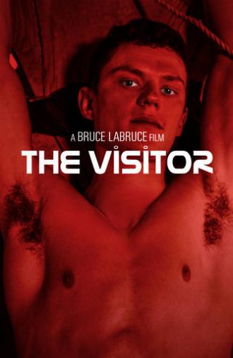 The Visitor (2024)