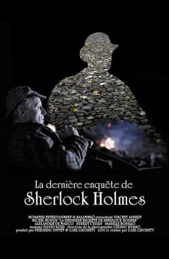 La dernière enquête de Sherlock Holmes (2010)