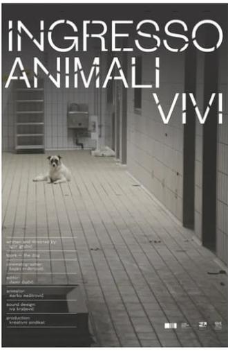 Ingresso animali vivi (2023)