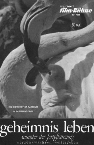 Geheimnis Leben - Wunder der Fortpflanzung (1966)