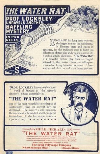 The Water Rat (1913)