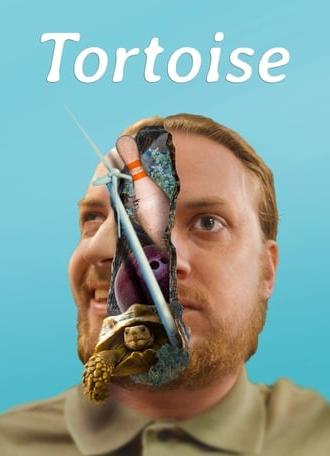 Tortoise (2018)