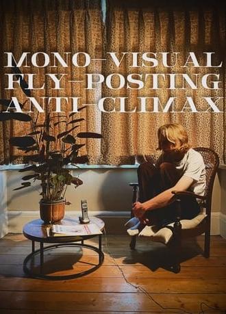 Mono-Visual Fly-Posting Anti-Climax (2024)