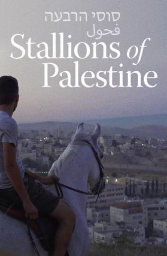 Stallions of Palestine (2019)