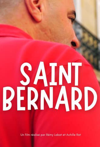 Saint Bernard (2024)