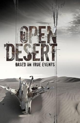 Open Desert (2013)