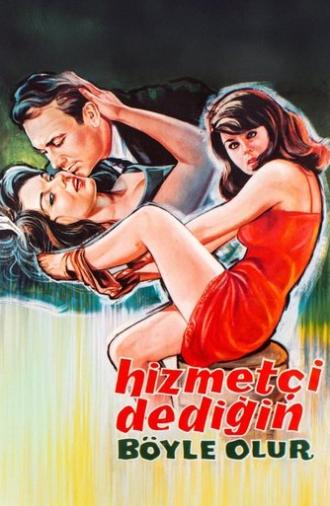 Hizmetçi Dediğin Böyle Olur (1964)