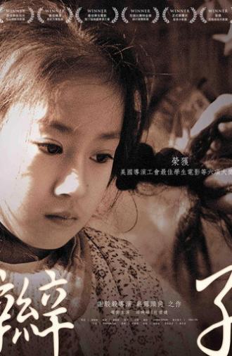 Braid (2011)