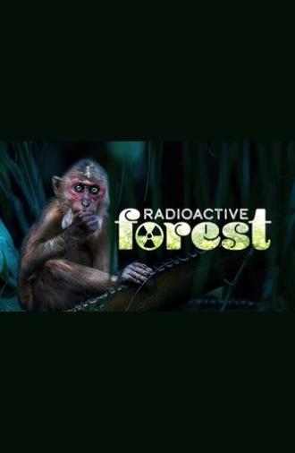 Radioactive Forest: 10 Years After (2022)