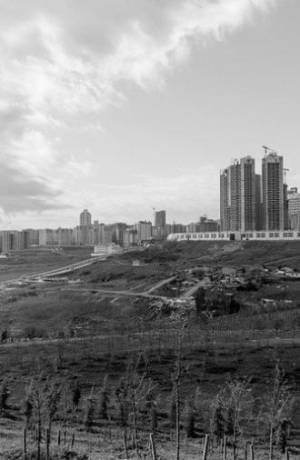 Letters from Silivri (2020)