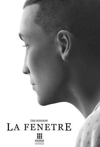 The Window (2014)