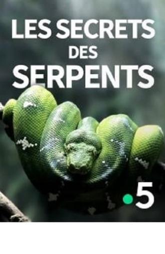 The Secrets of the Snakes (2016)