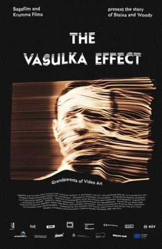 The Vasulka Effect (2020)