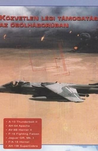 Combat in the Air - Close Air Support in the Gulf (1996)