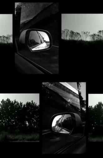 objects in (the) mirror are closer than they appear (2018)