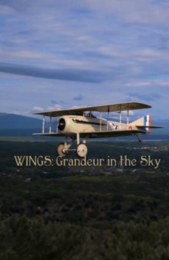 Wings: Grandeur in the Sky (2012)